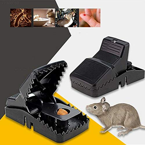 img_6941a25425375 Premium Quality Mouse Traps Indoor Rat Trap